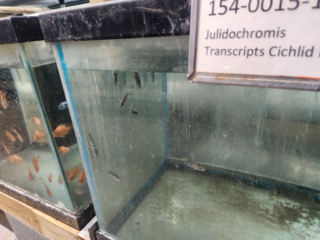 A fish tank with some type of sign on it