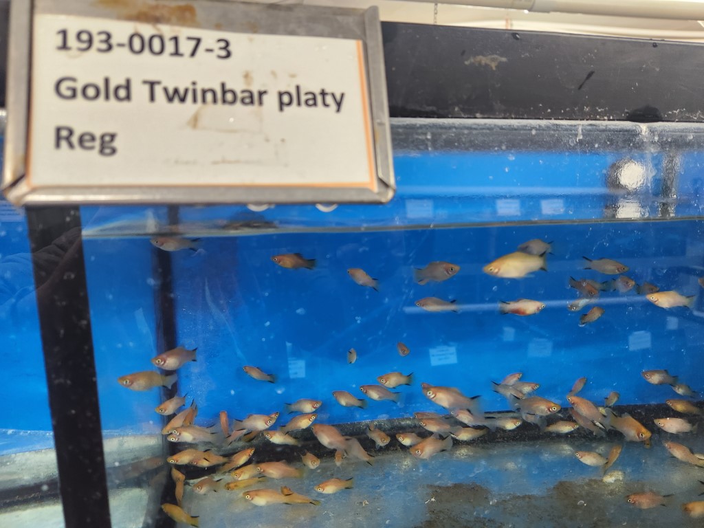 A sign that says, " 0 3-0 0 1 7-3 " and " old twinbar platy."