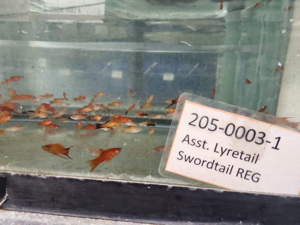 A sign in front of some fish inside of a tank.