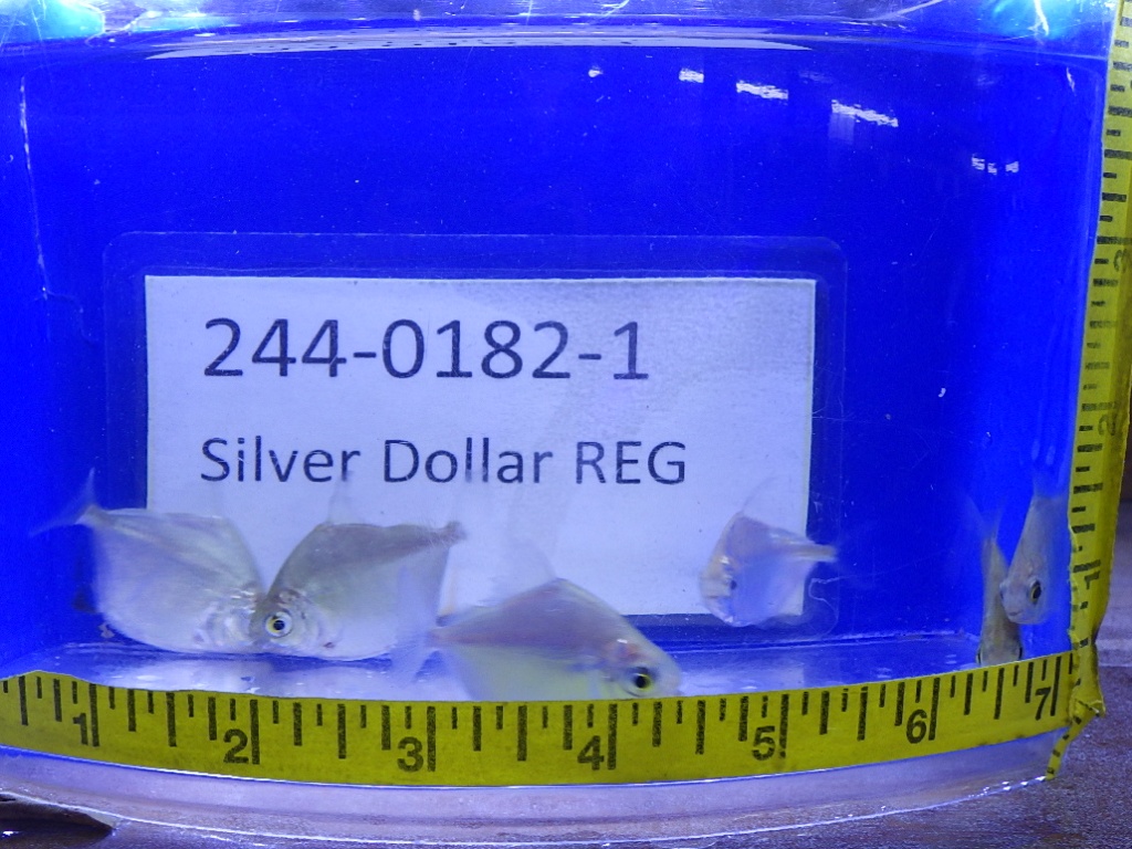 RIMG0183