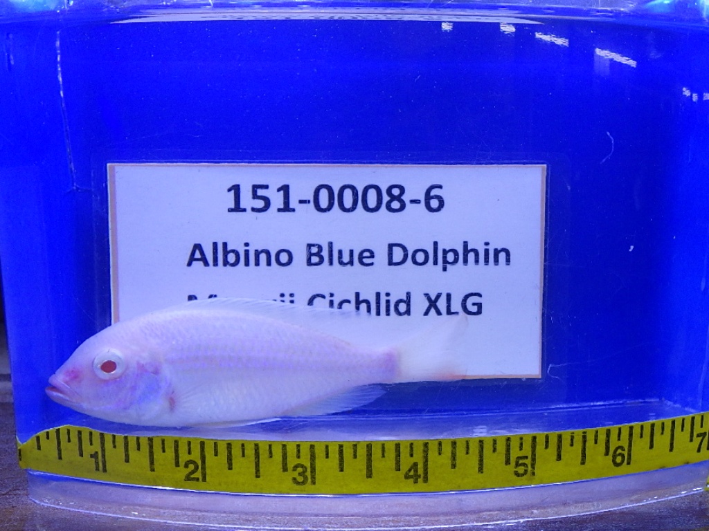 RIMG0196